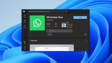 whatsapp windows