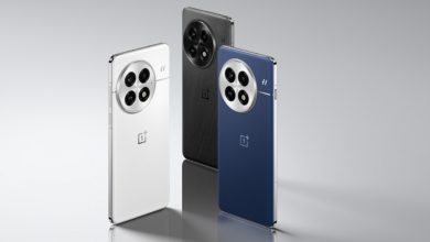 OnePlus 13 سيصل عالميًا في يناير 2025